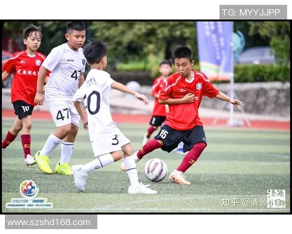 90后足球明星的崛起与价值探讨如何影响中国足球未来发展 90后足球明星的崛起与价值探讨如何影响中国足球未来发展