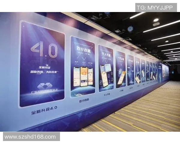 张帆：在新时代背景下探索青年成长与发展的多元路径与挑战