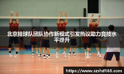 中欧体育