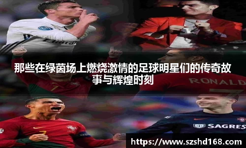 那些在绿茵场上燃烧激情的足球明星们的传奇故事与辉煌时刻