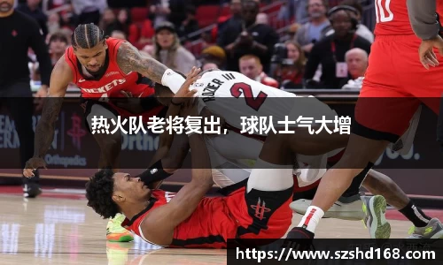 热火队老将复出，球队士气大增