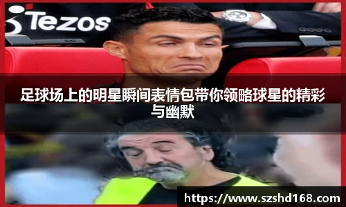zoty中欧