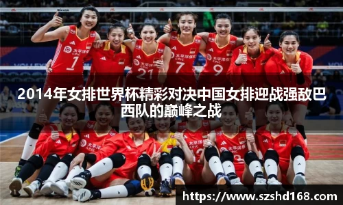 zoty中欧